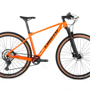 Bicicleta Lobito MT10 29″
