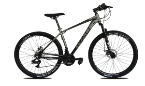 Bicicleta Rali A1 29"