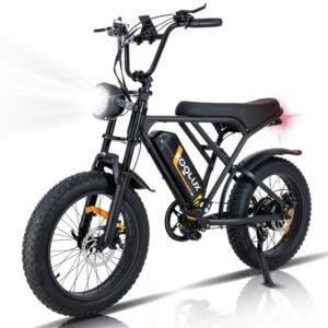 Bicicleta Eléctrica Koolux BK29 250W 48V/15Ah 20″