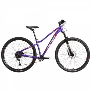 Valkyria 29 – Alivio M3100/AltusM2010 1×9 + Disc MT200 + MD993RL