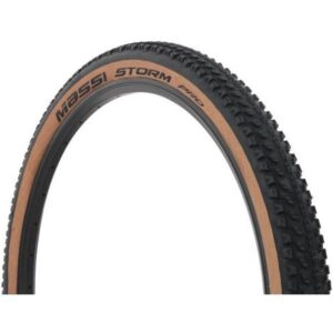 Storm Pro