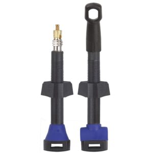 Válvula Tubeless