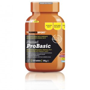 ProBasic
