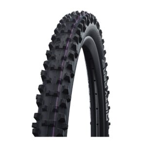Dirty Dan 27.5