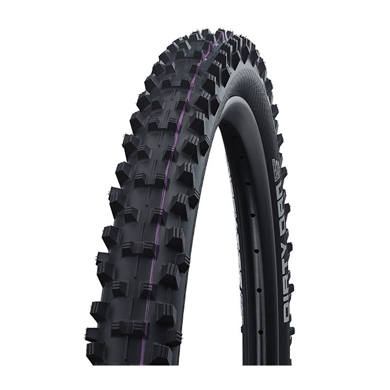 Dirty Dan 27.5